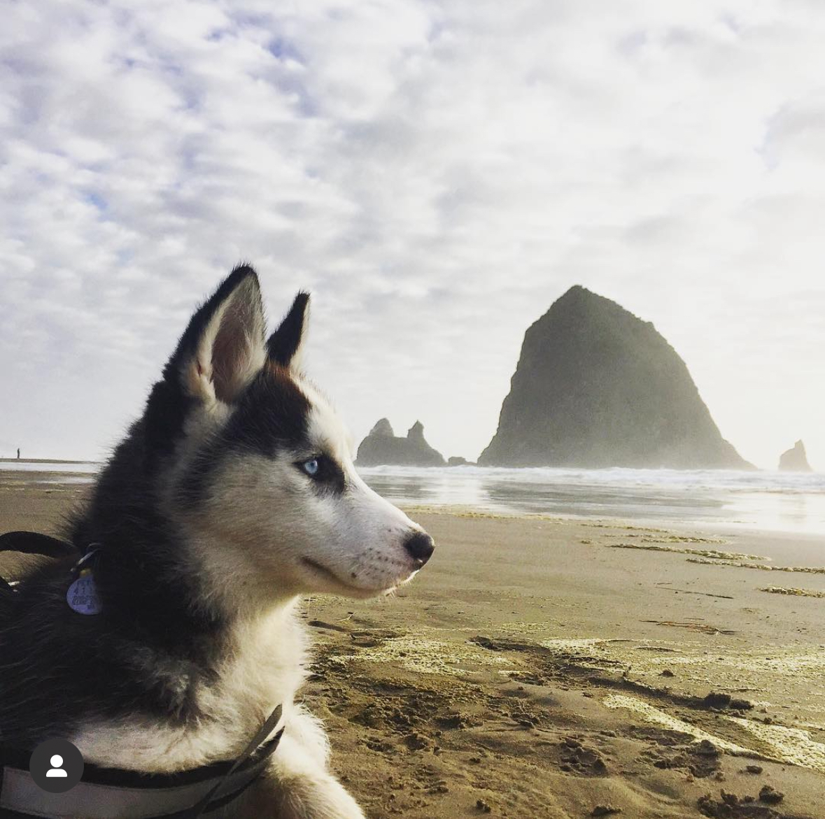 Building a Life - Photo 5